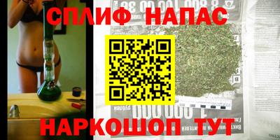 стаф Бугуруслан